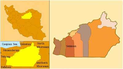 Critical air pollutant assessments and health effects attributed to PM2.5 during and after COVID-19 lockdowns in Iran: application of AirQ+ models